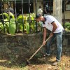‘Haritha Deyak’ National Home Gardening Program